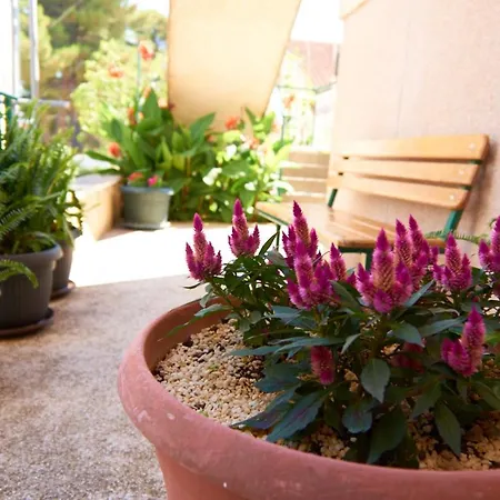 Marta I Franka Apartment