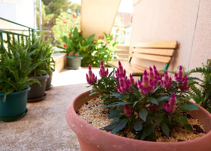 Marta I Franka Appartement